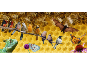 pCreated by NAPC combining adaptations of CraigRJD and Signature Saddako from Getty Images   from Pexels Anna Subbotina Annette Shaff and Scopio Images  CanvaProbrp