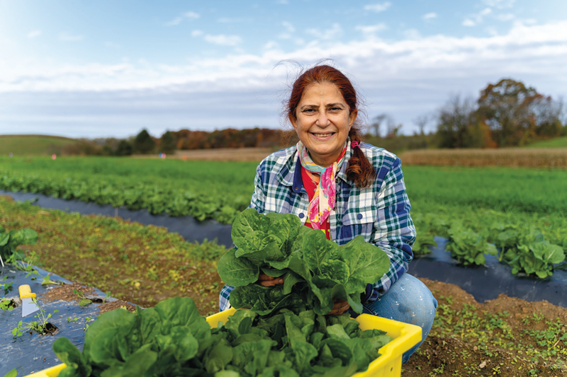 Regenerative Farming