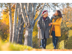 pGround Pictureshutterstockcombrp