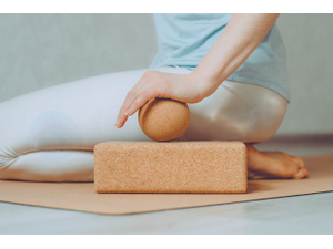 ppixie mfrshutterstockcombrp