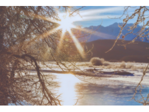 psun okshutterstockcombrp