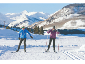 pNathan Bilow by Getty ImagesCanvaProbrp