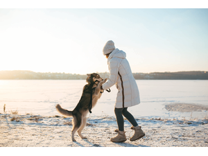 pHrecheniuk OleksiiCanva Probrp