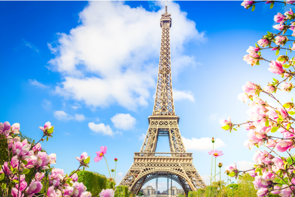 Self pollinating wild flowers due to declining insect population