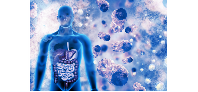 Toxins and Colorectal Cancer