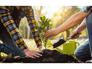 pYang Zhen SiangShutterstockcomCrizzyStudioshutterstockcombrp