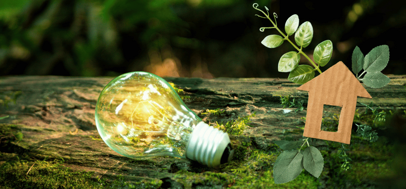 Light bulb green living