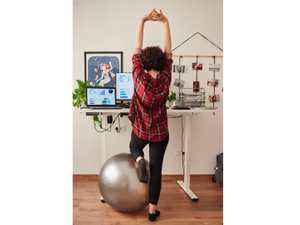 pImgenes de HasselCanvaProbrp