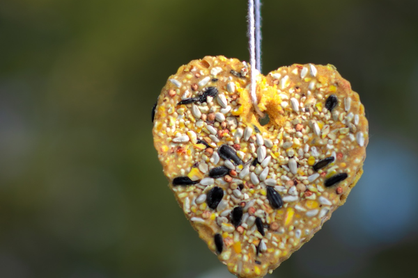 DIY Valentine's gift birdseed heart