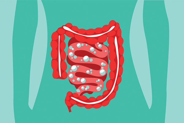 Gastrointestinal Tract