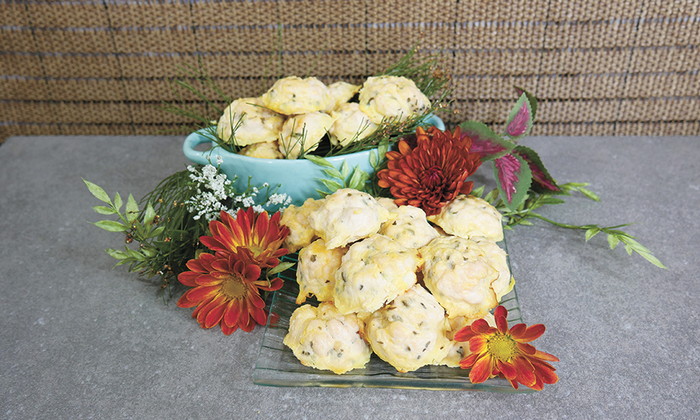 Homemade turkey meatball pet treats for dogs and cats