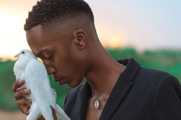 Grieving individual holding dove seeking inner peace and healing for grief