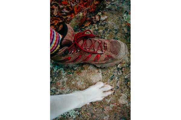 A humans foot with hiking boots on next to a dogs white paw