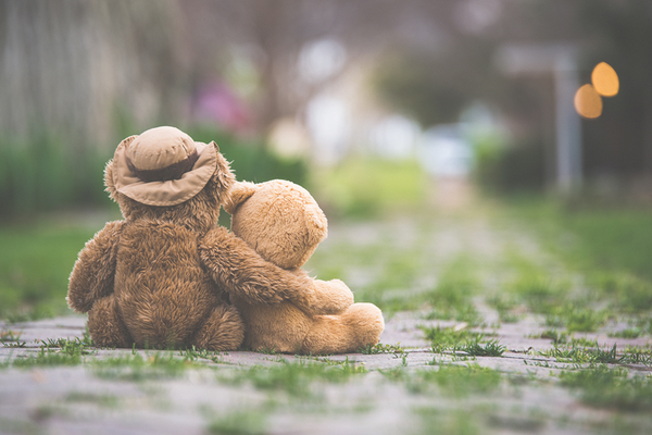 The back of a teddy bear wearing hat placed on ground with comforting arm around other teddy bear