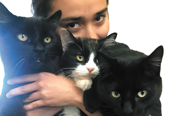 Picture of pet owner holding three cats in arms