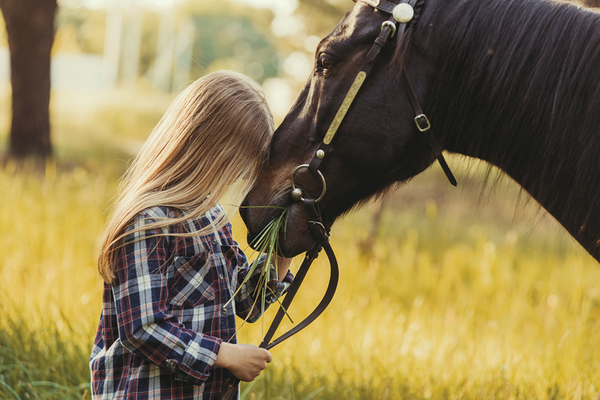 Brown horse in field with person holding reigns and pressing forehead against horse's snout in a field as part of equine therapy