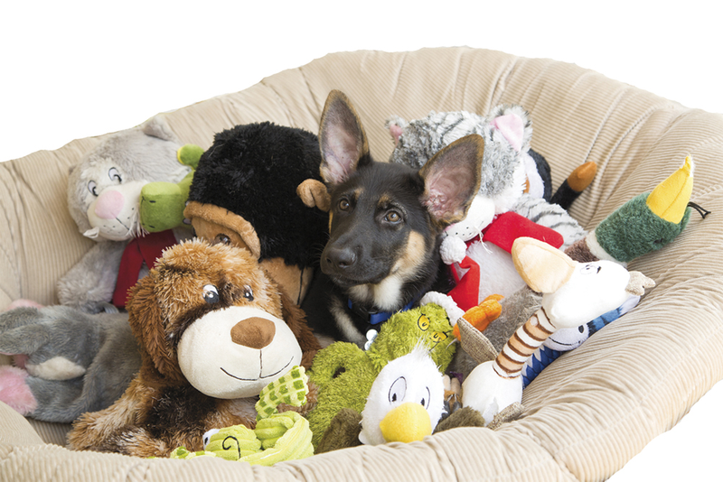 German Shepherd sitting in dog bed surrounded by stuffed toys