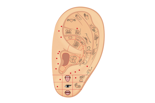 Diagram of acupressure points on an ear