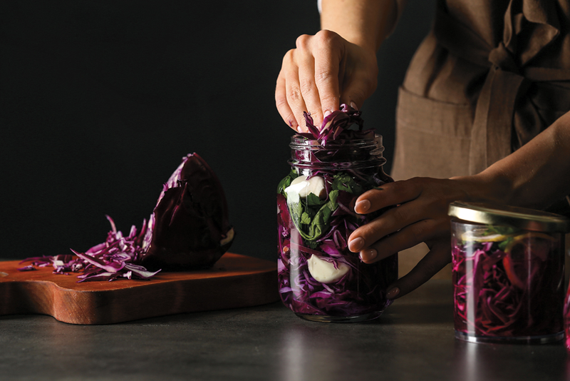 Person placing cut up purple cabbage into jar for fermenting