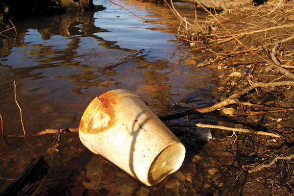 Discarded Styrofoam container polluting waterway environment