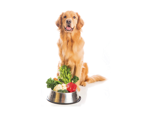 Mat HaywardAdobeStockcom