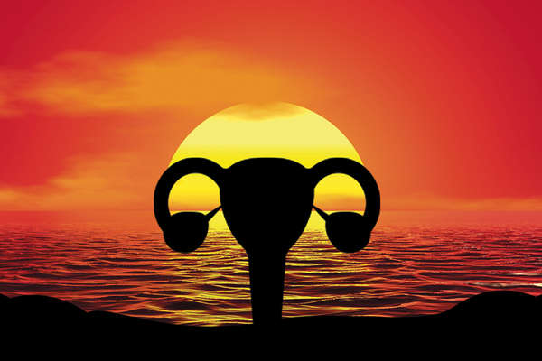 Female reproductive organs in front of sunset over water