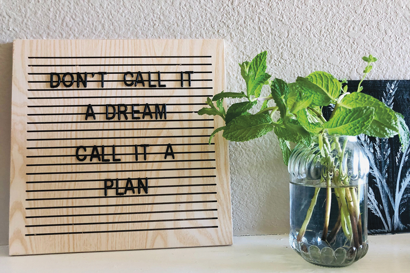 Letterboard sign that reads "Don't call it a dream call it a plan" next to plant in water