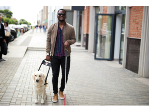 pSukjai PhotoAdobeStockcombrp