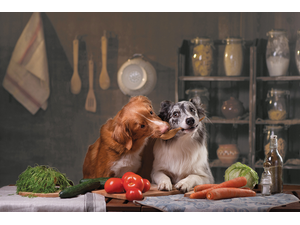 pdezyShutterstockcombrp